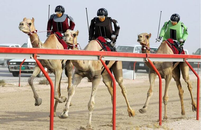 Robotic Camel Jockey