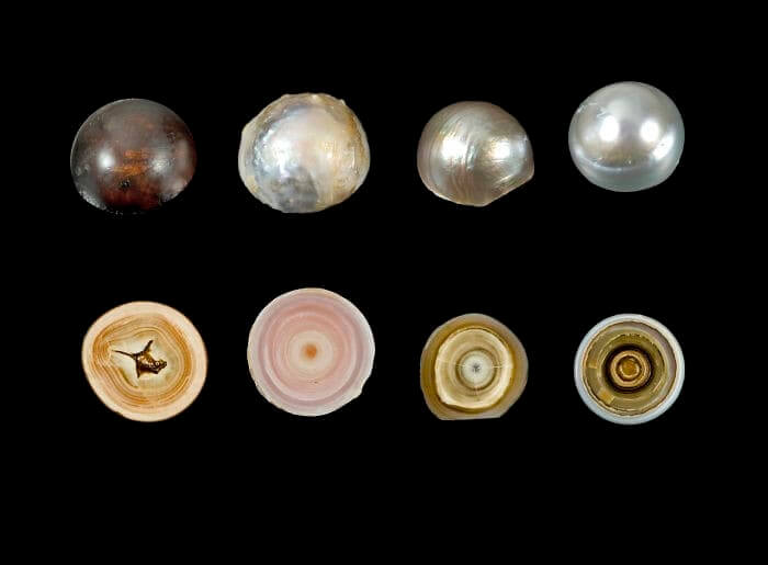 How A Pearl Is Formed