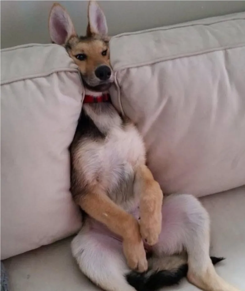 How Are Things Down Under?