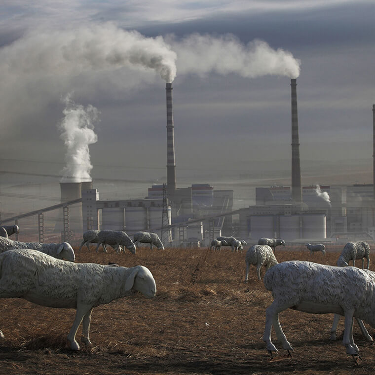 We Don't Know What You Thought, but Those Sheep Aren't Helping