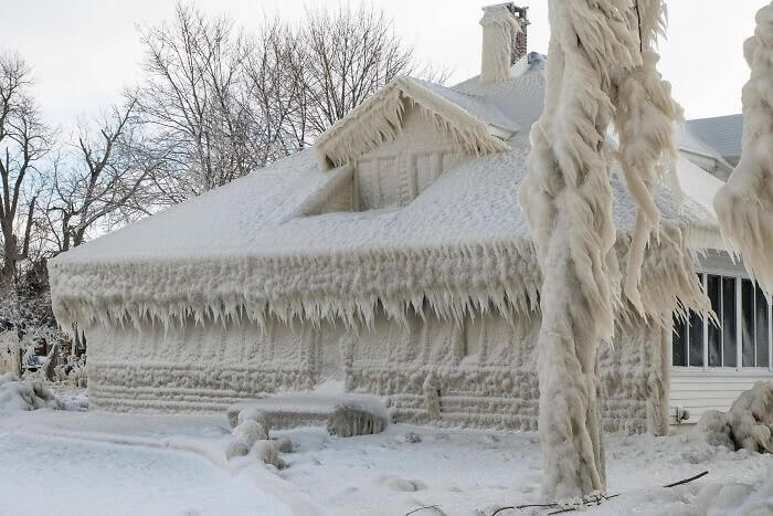 Frozen - But Make It Real Life