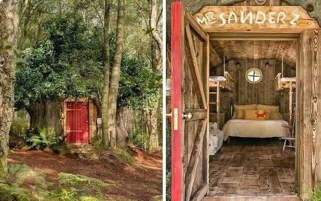 Winnie the Pooh's Airbnb