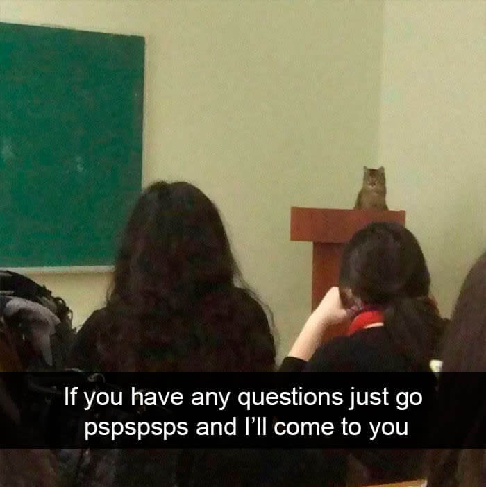 Professor McGonagall, Is That You?