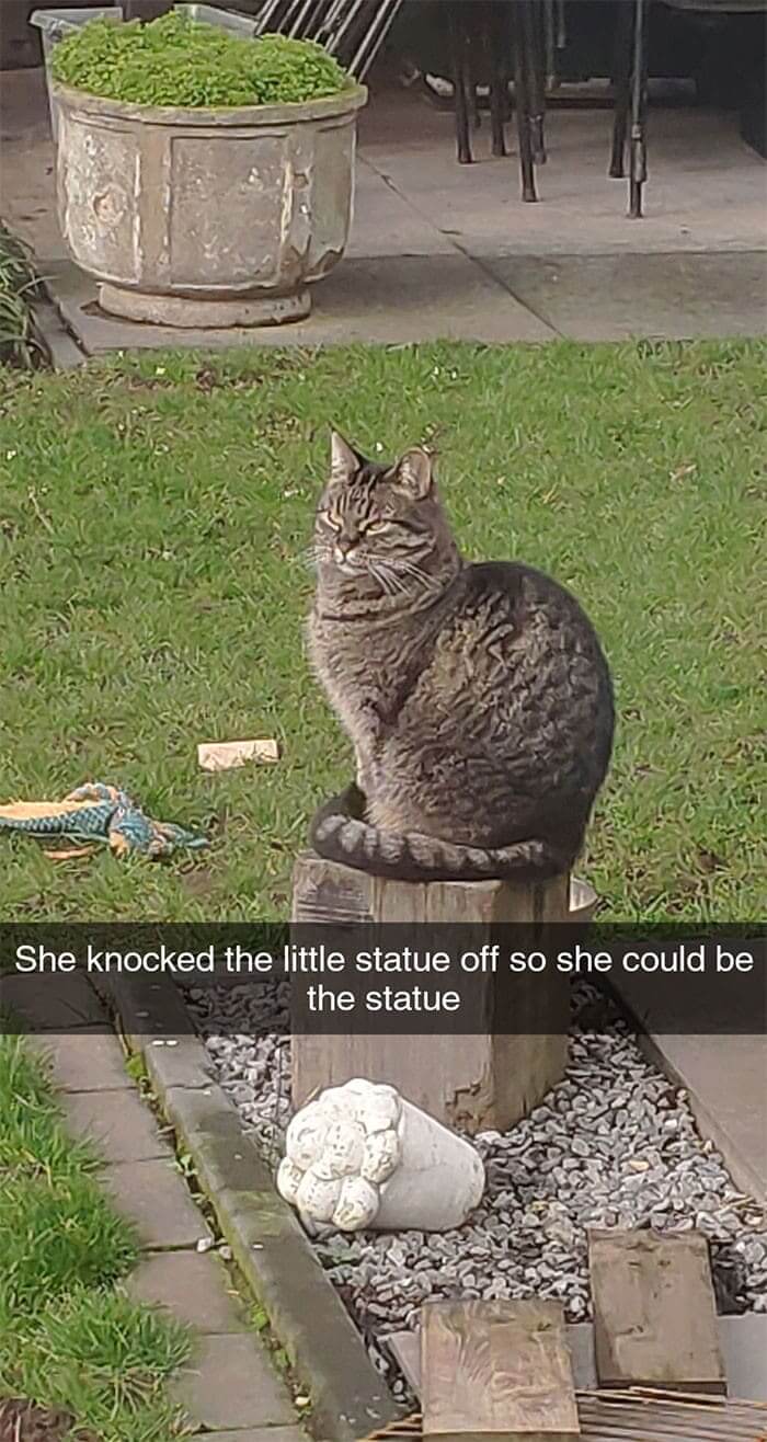 "Admire Me Like A Statue"