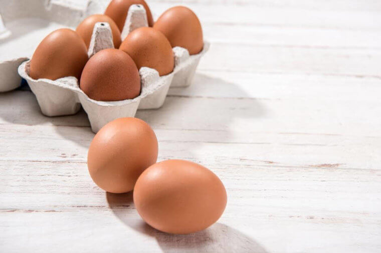 Excellent Eggs