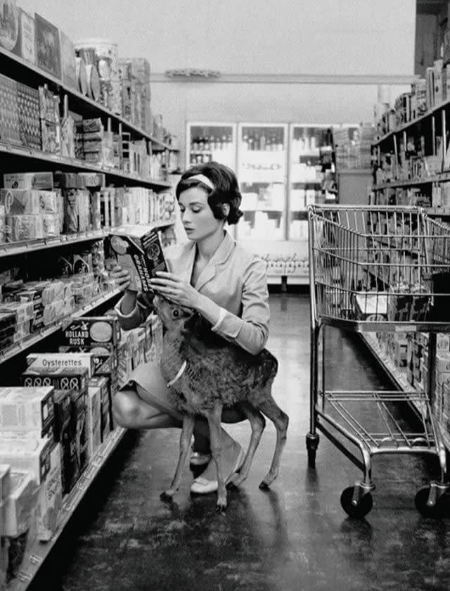 Audrey Hepburn and Pippin, the Actual Faun, 1958