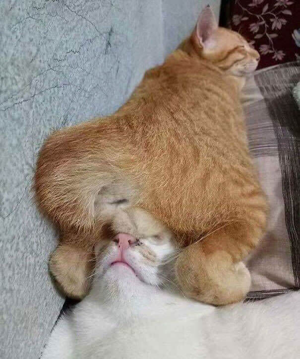 "This Looks Like The Perfect Spot"