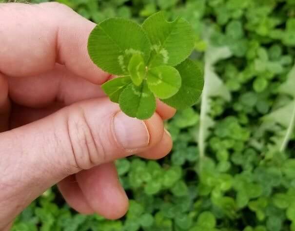 Seven Years of Good Luck