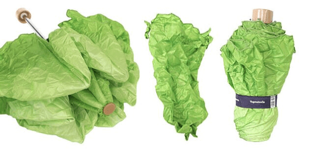 Soggy Lettuce