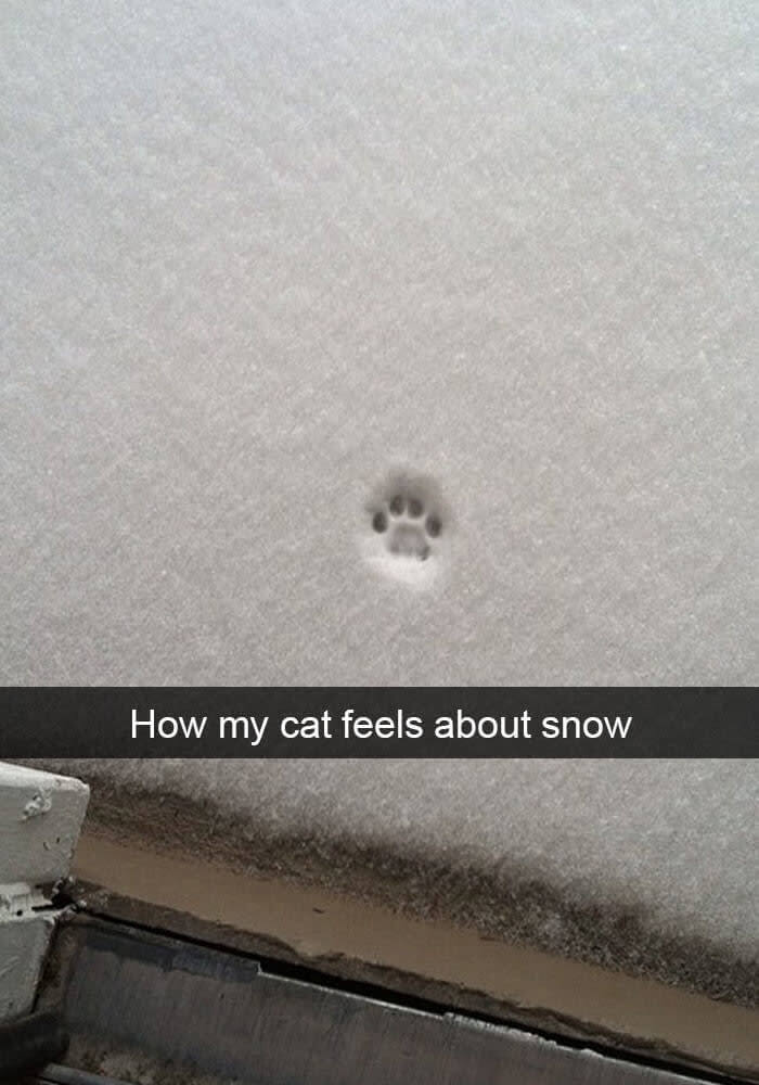 It Was A Big Nope For The Snow