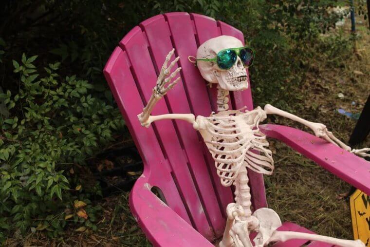 Your Entire Skeleton Will Regenerate In 10 Years