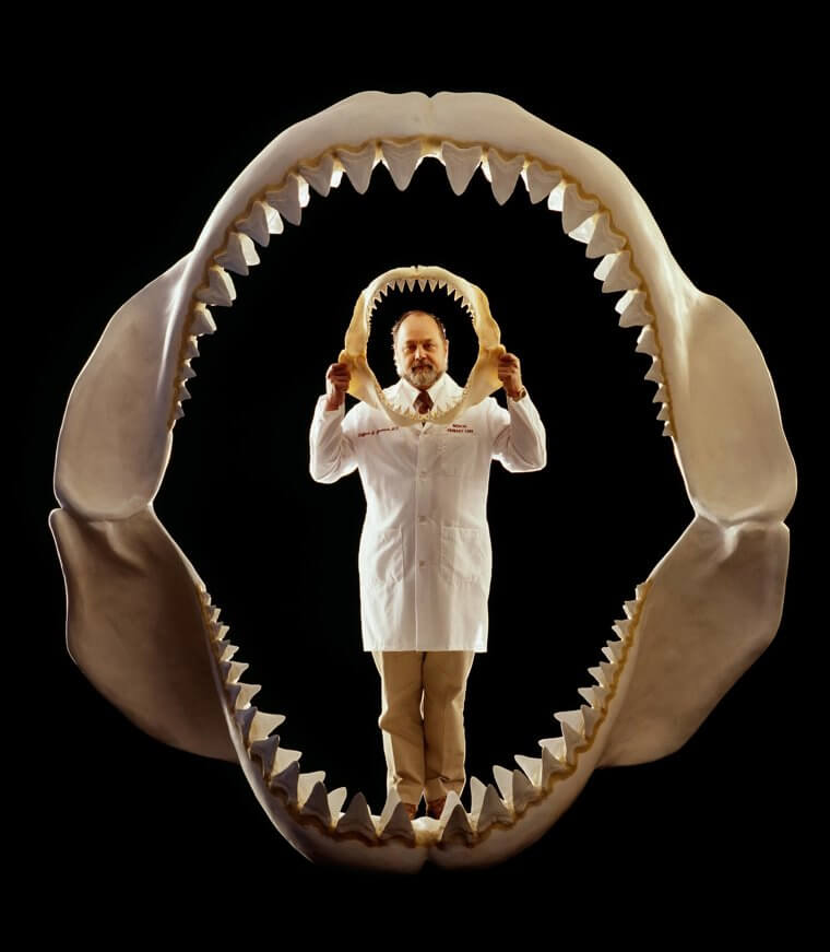 Terrifying Ancient Shark Megalodon Vs. Modern Great White