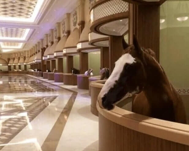 Horse Stables Made Out of Marble