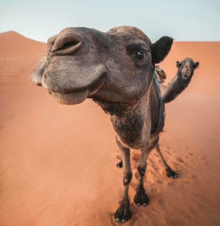 Oh, Hey There!