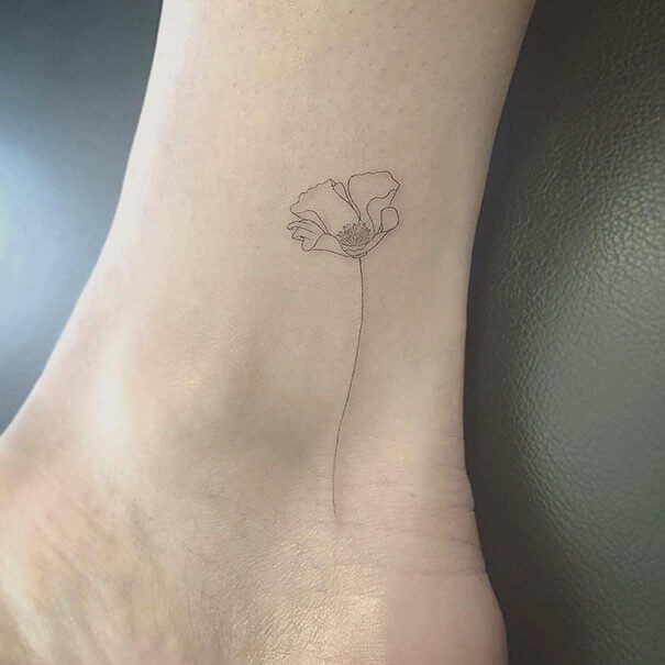 A Beautiful, Delicate Poppy