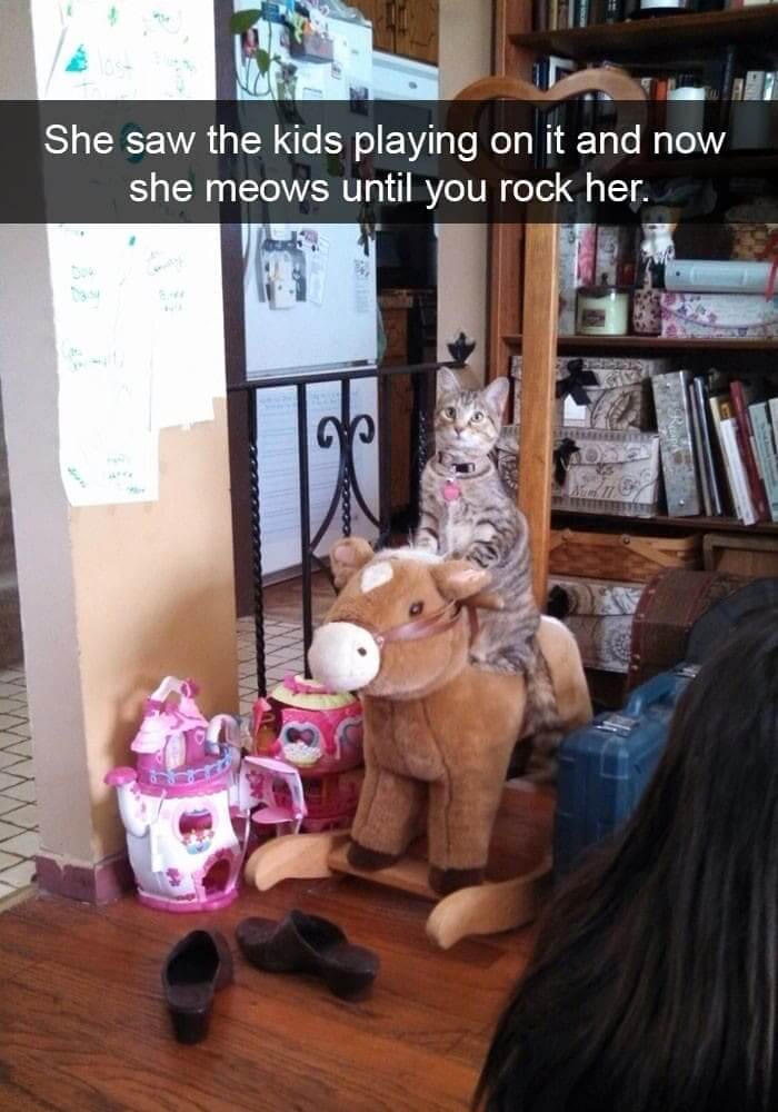 Rock-A-Bye Kitty