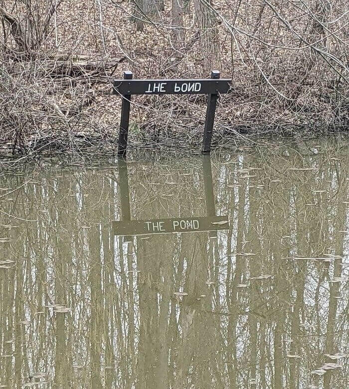 Reflecting Pond