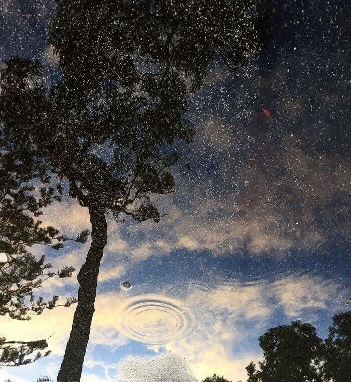 We Can All Agree That Aliens Exist, Right?
