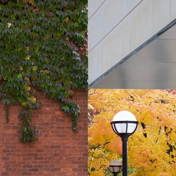Multiple Settings In A Single Photo