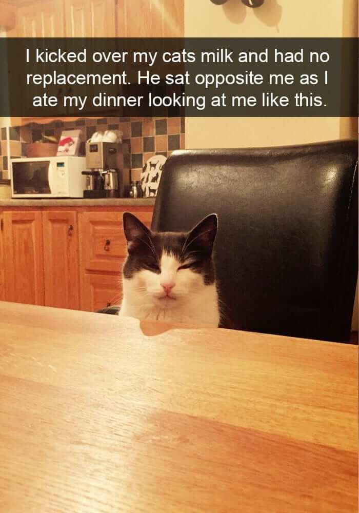 "How Dare You Not Give Me More Milk, Karen."