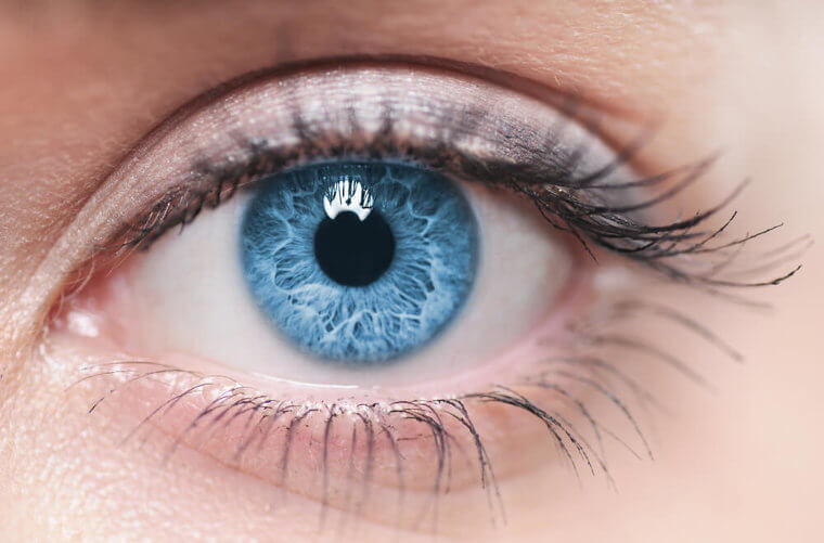 Our Eyes Have More Megapixels Than A Camera
