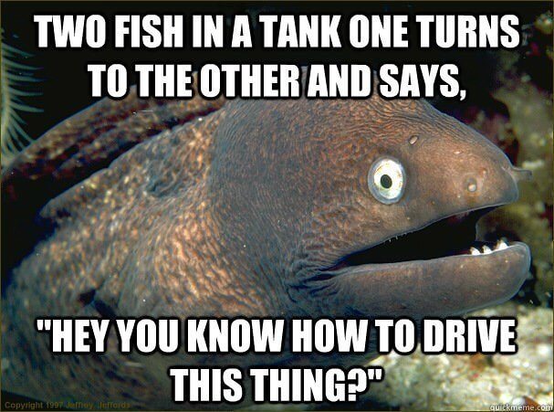 Two Fish in a Tank