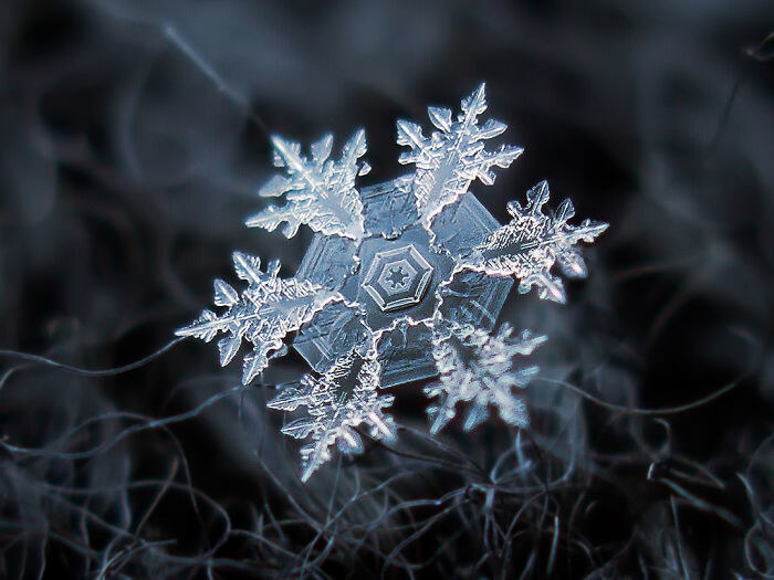The Most Perfect Snowflake The World Has Ever Seen