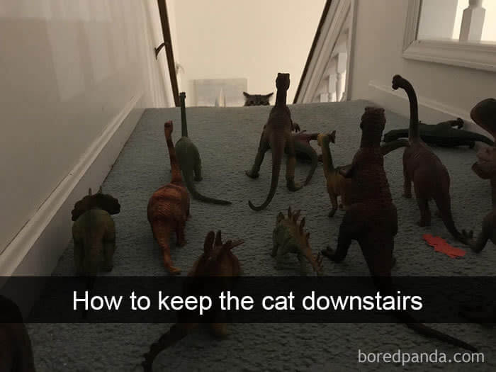 Dinosaurs Vs. Cat