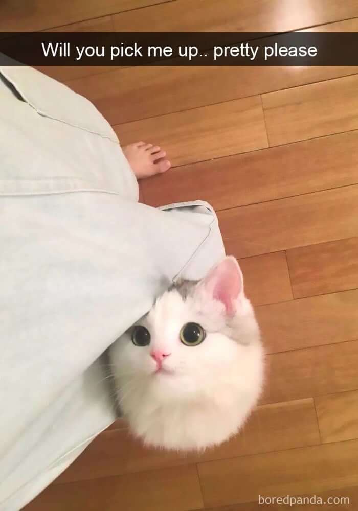 Don't Leave Her On The Ground