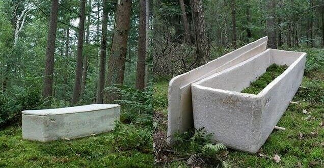 The Living Coffin That's Made Out of Mushrooms