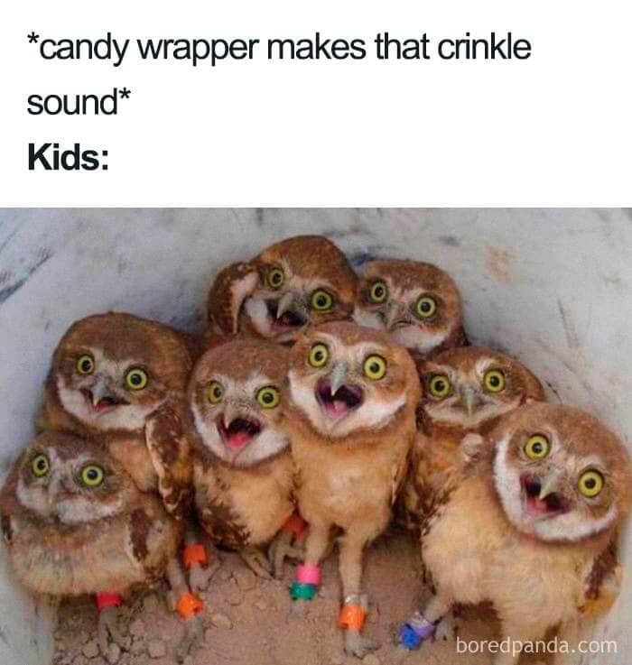 Is That Candy?!