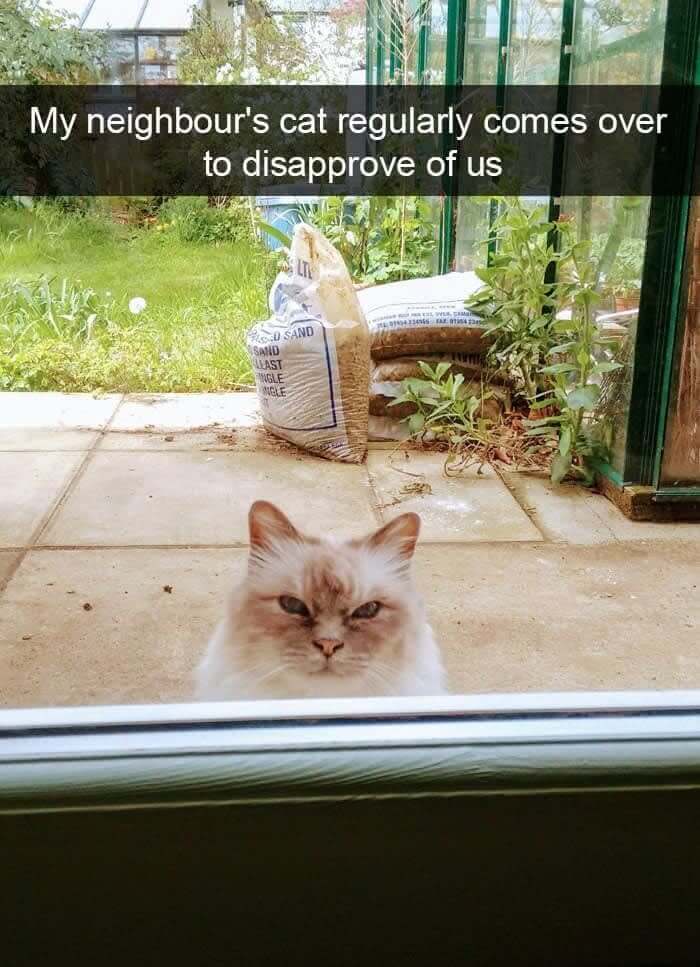 He Who Judges All