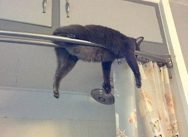 Avoiding Water At All Costs
