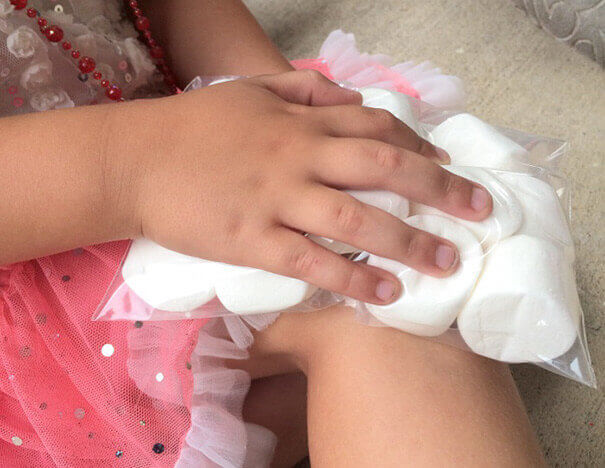 Homemade Ice Packs