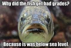 ​The Fish With Poor Grades and a Poor Joke