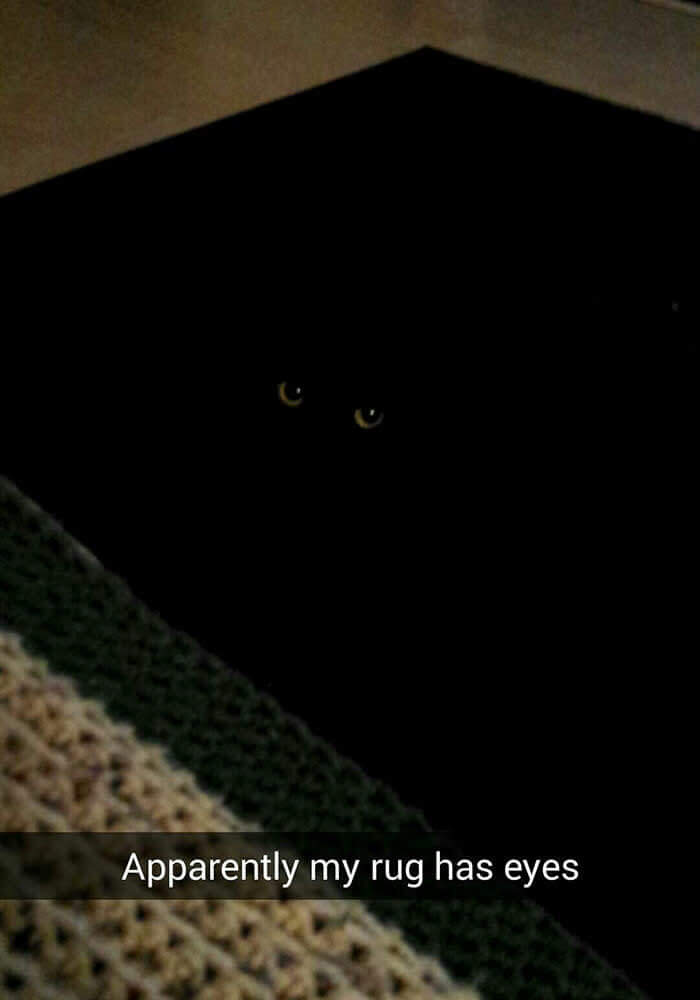 The Rug Has Come To Life