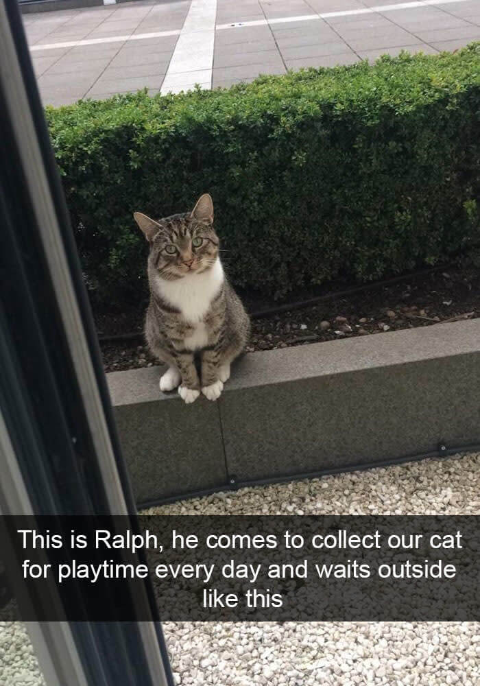 "Come On Whiskers, It's Time For Our Play Date"