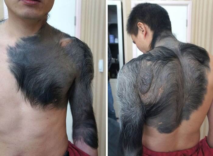 Giant Furred Mole