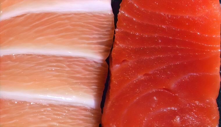 What Happened to Salmon?