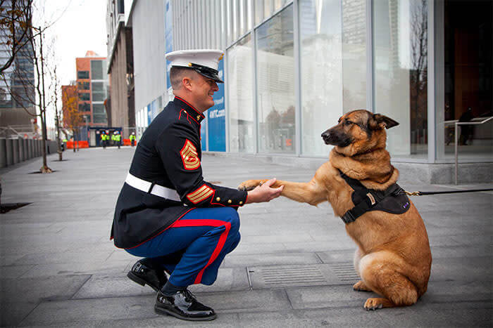 Lucca Received A High Honour For Defending The Country