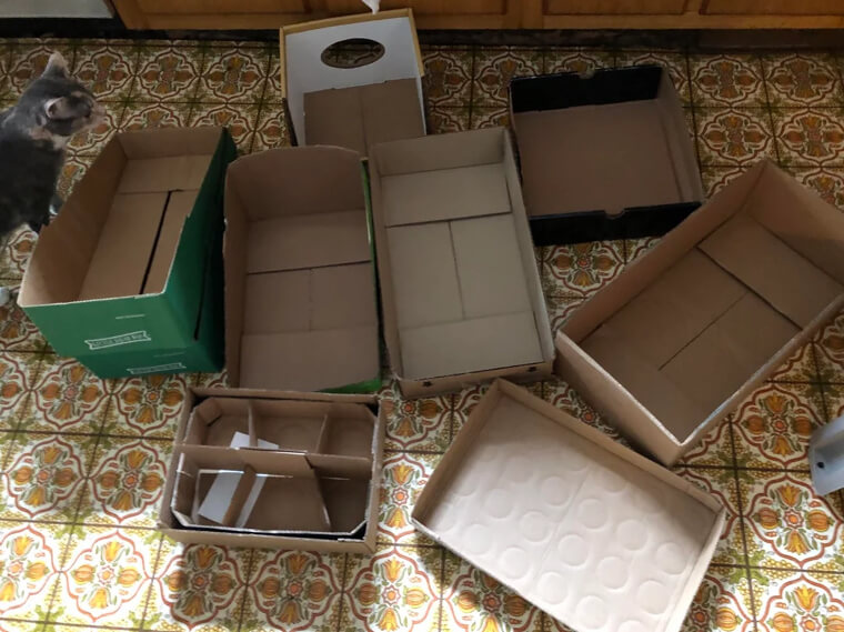Ask for Cardboard Boxes to Pack Groceries