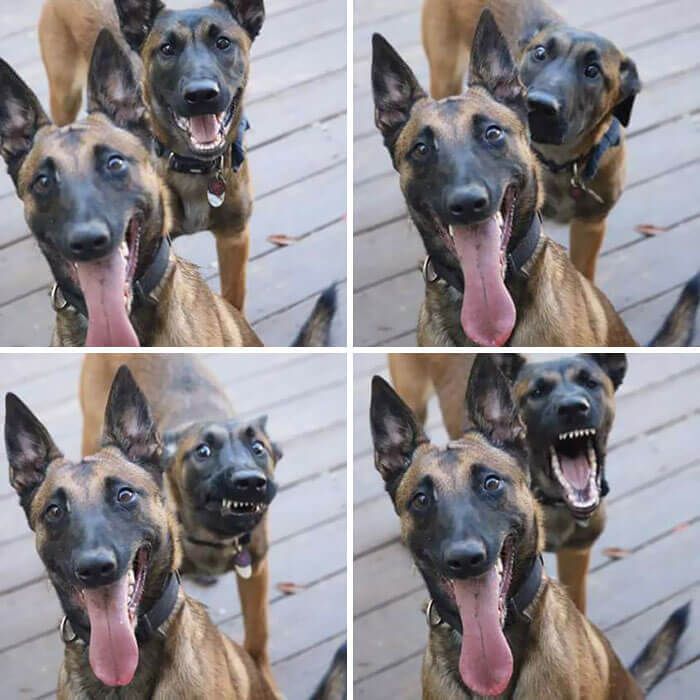 Best Friends Forever
