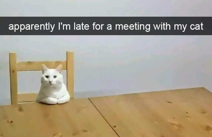 "Susan, I Have Been Waiting For You"