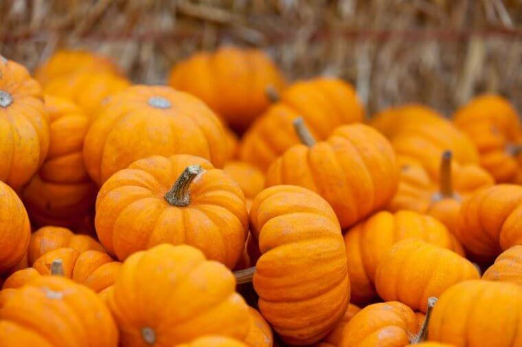 Powerful Pumpkins
