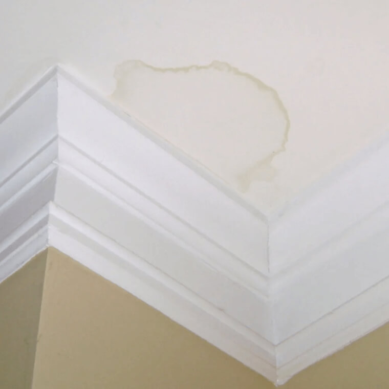 Banish Those Horrible Water Stains