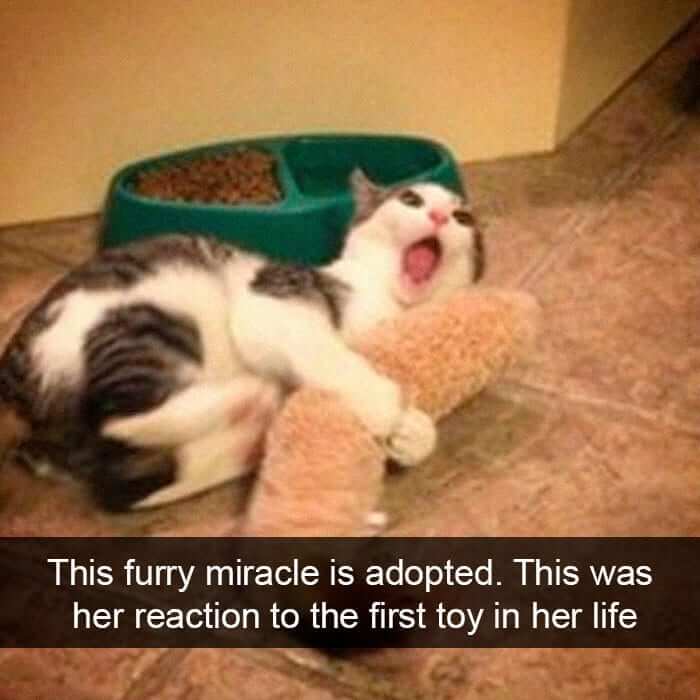 "MY PRECIOUS!"
