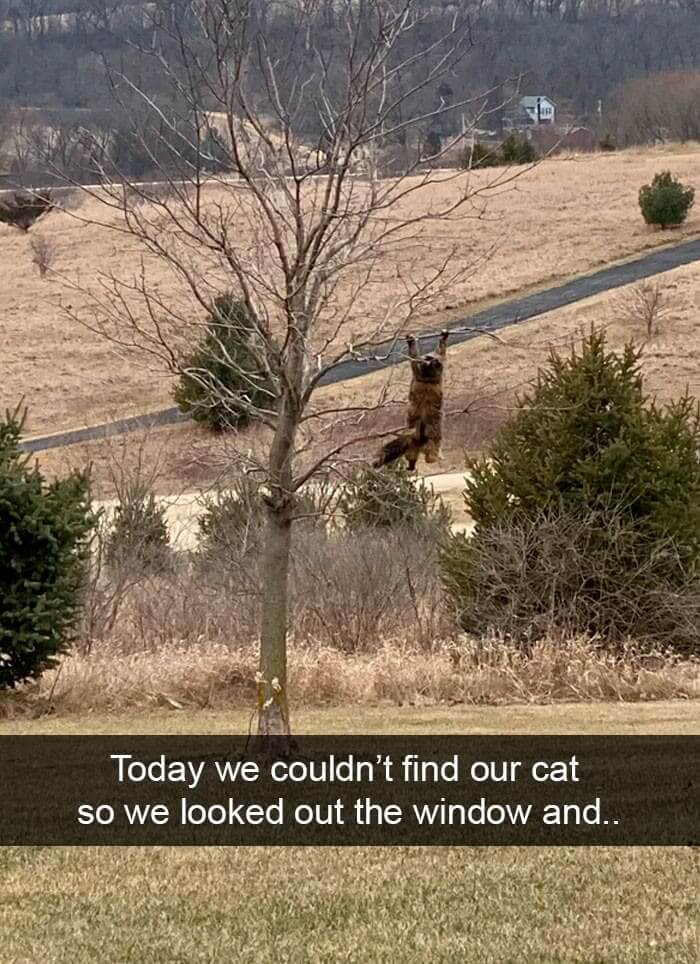 Just Hanging
