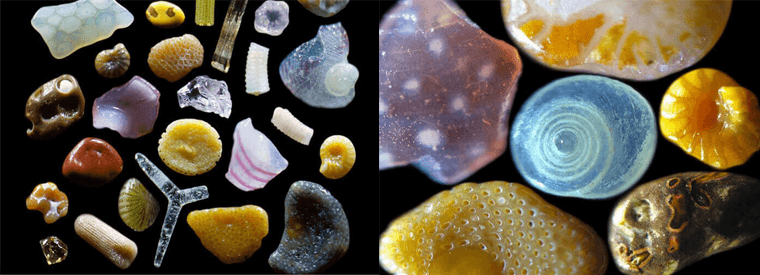 We'll Never Look at the Beach the Same Way Again