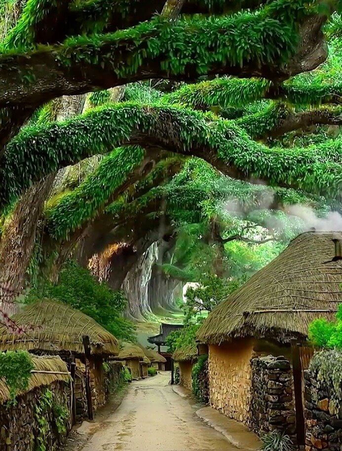 This Beautiful Korean Folk Village Is Frozen in Time