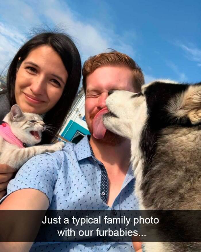 "Hey! That's My Human!"